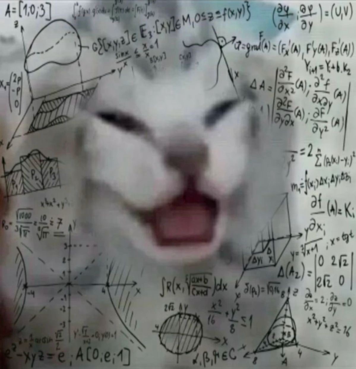 Mathematics viva