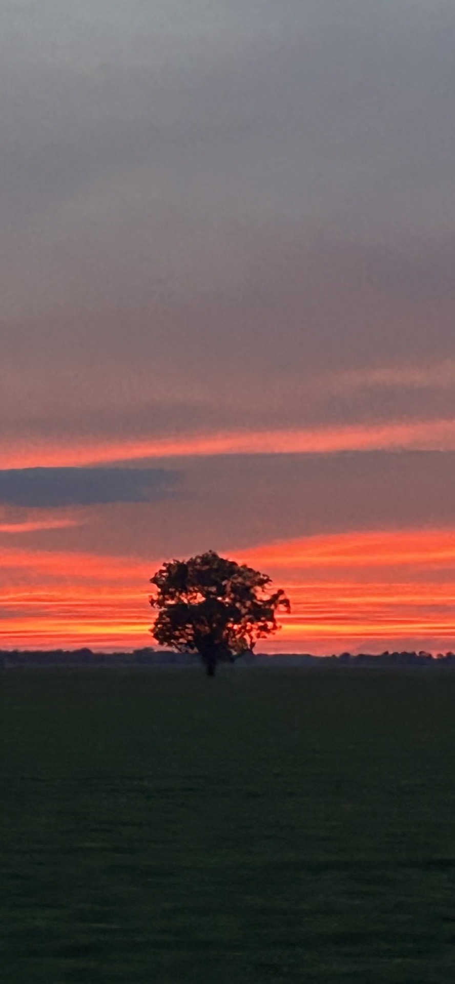 Amazing Sunset