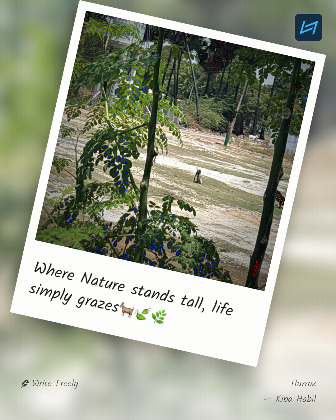 Where Nature stands tall, life simply grazes🐐🍃🌿