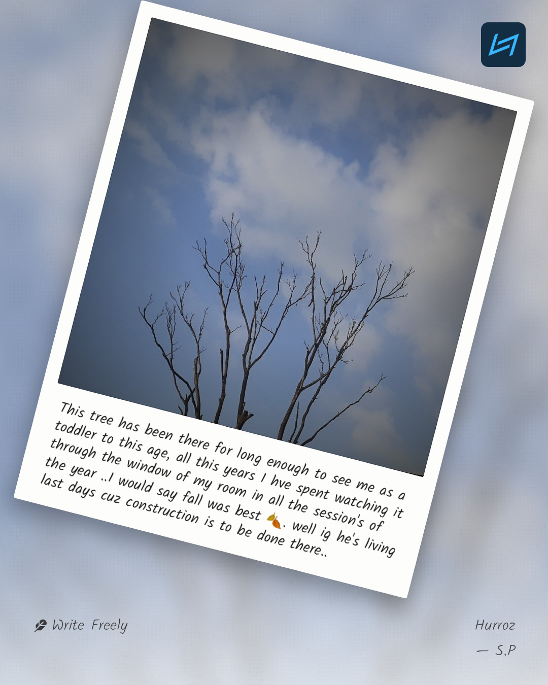 This tree has been there for long enough to see me as a toddler to this age, all this years I hve spent watching it through the window of my room in all the session's of the year ..I would say fall was best 🍂. well ig he's living last days cuz construction is to be done there..