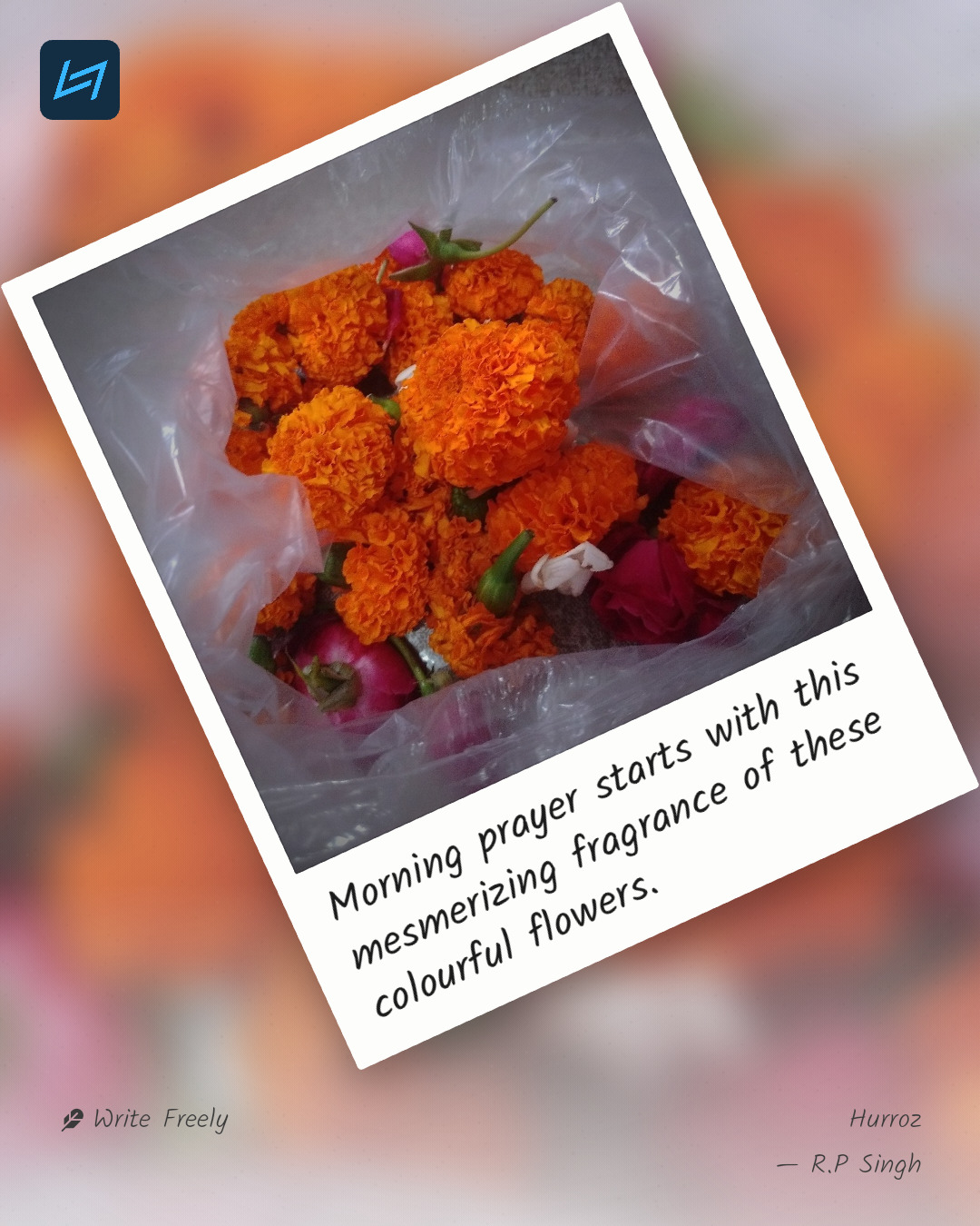 Morning prayer starts with this mesmerizing fragrance of these colourful flowers.