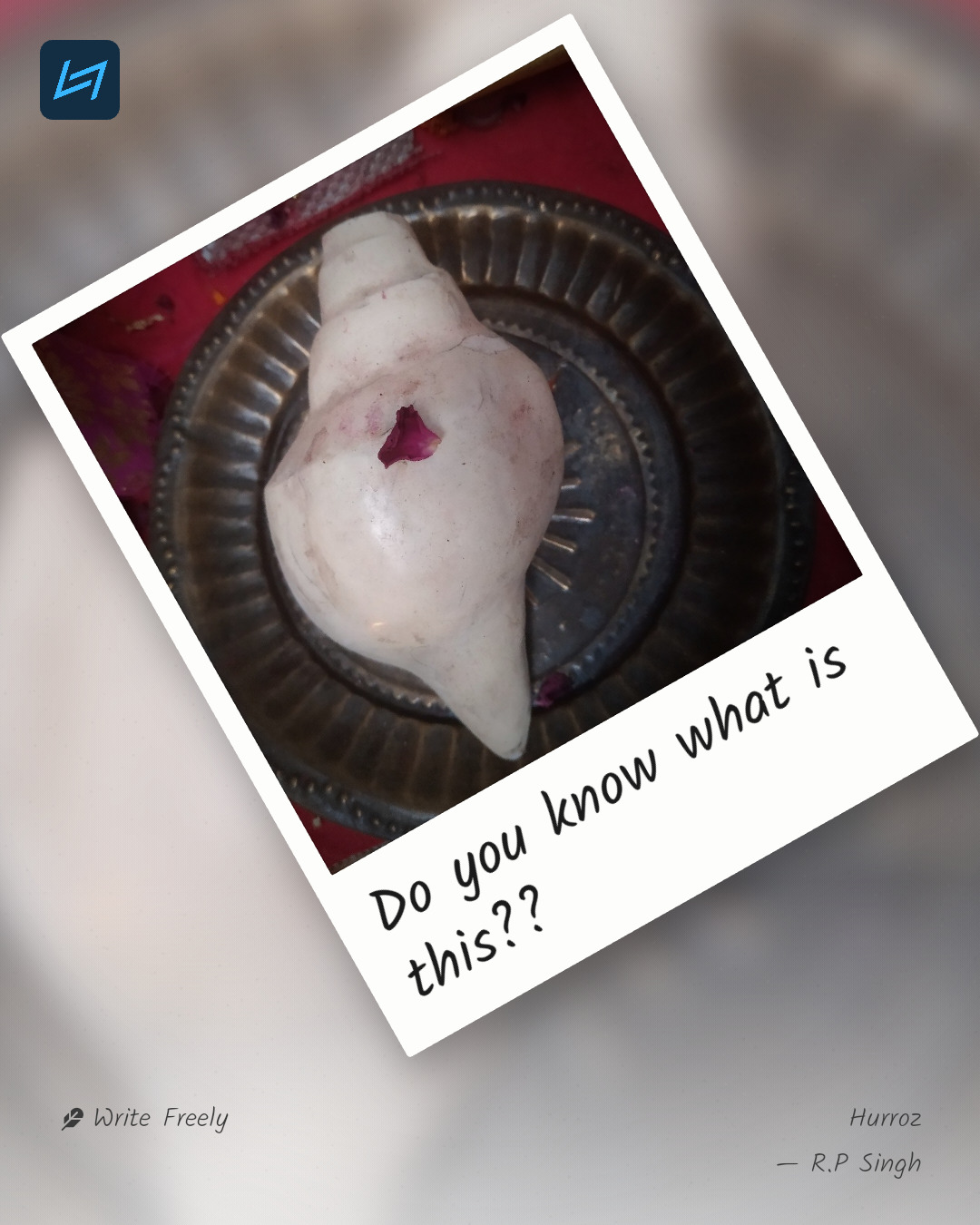 Do you know what is this??