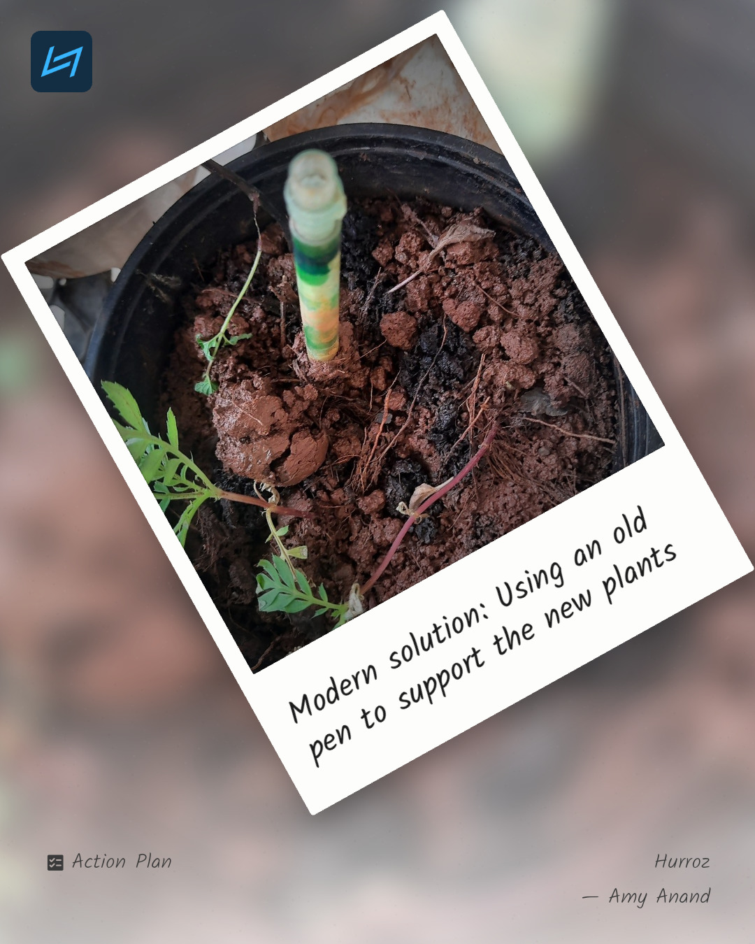 Modern solution: Using an old pen to support the new plants
