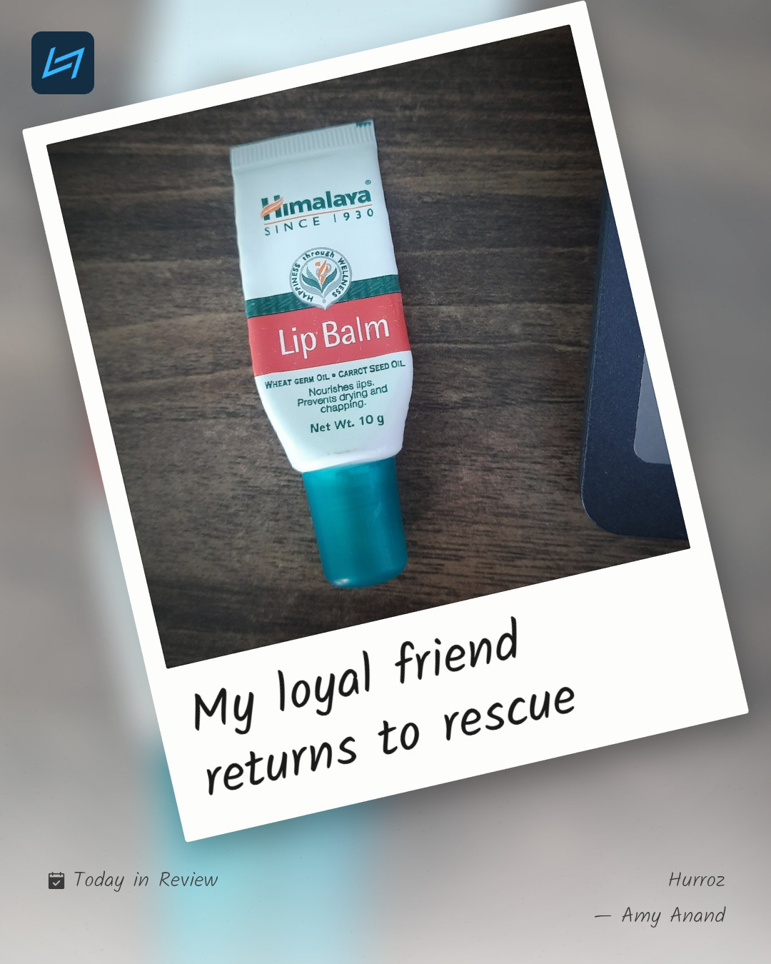 My loyal friend returns to rescue