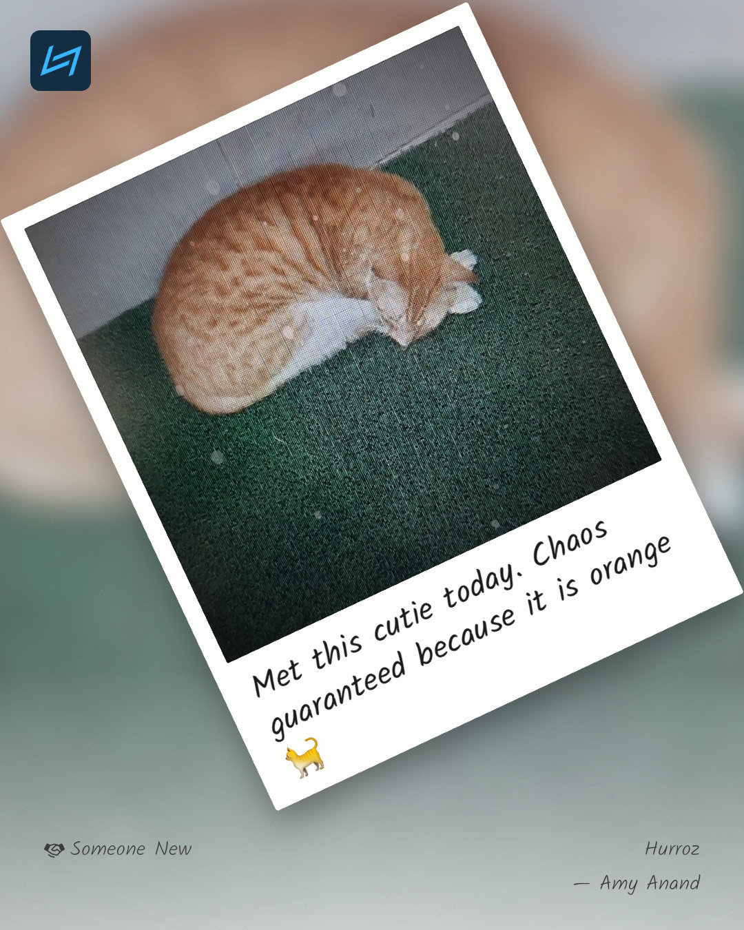 Met this cutie today. Chaos guaranteed because it is orange 🐈