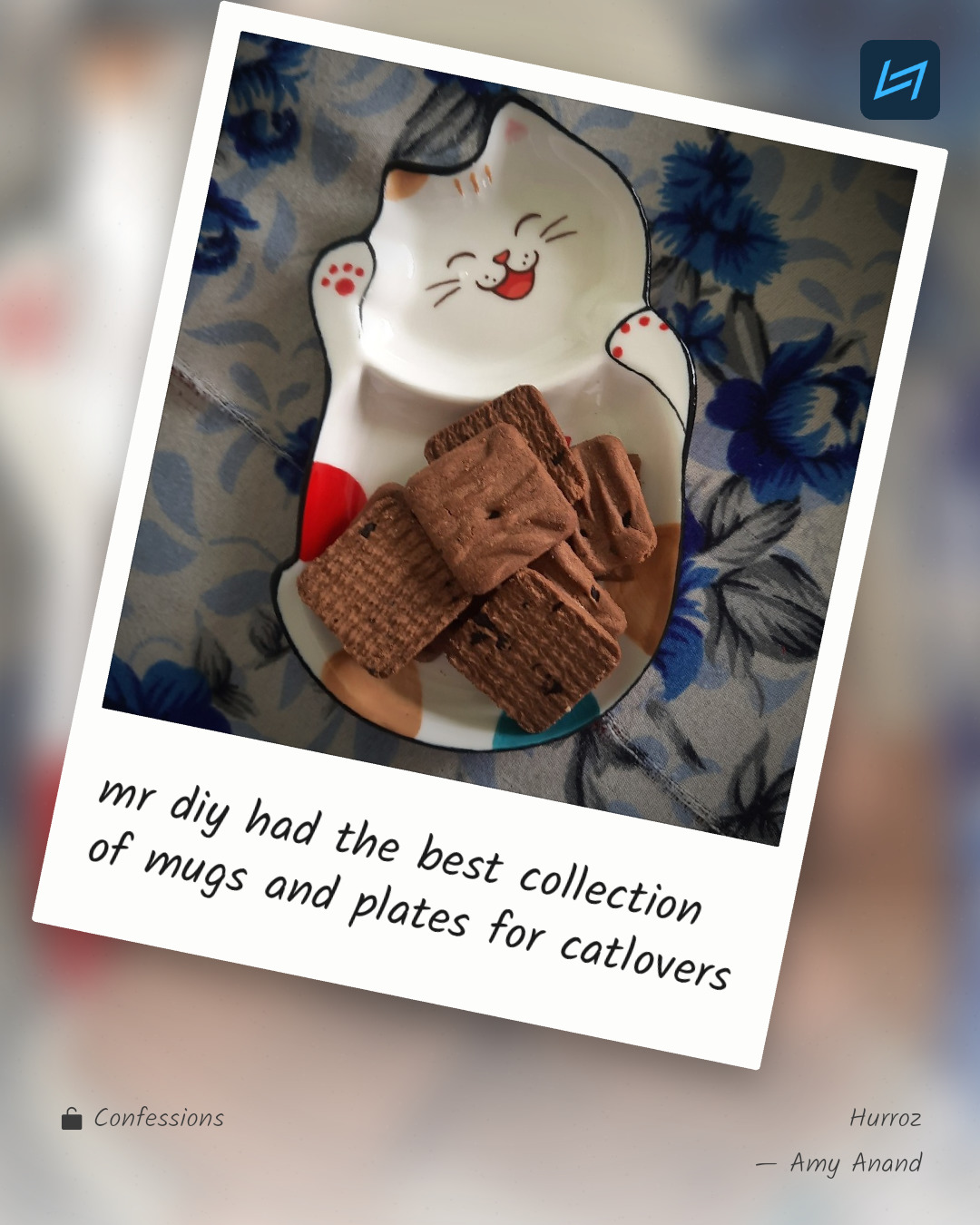 mr diy had the best collection of mugs and plates for catlovers