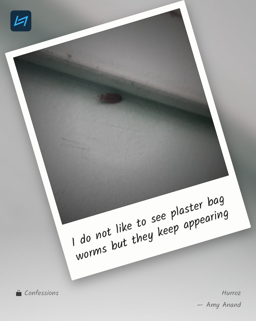 I do not like to see plaster bag worms but they keep appearing