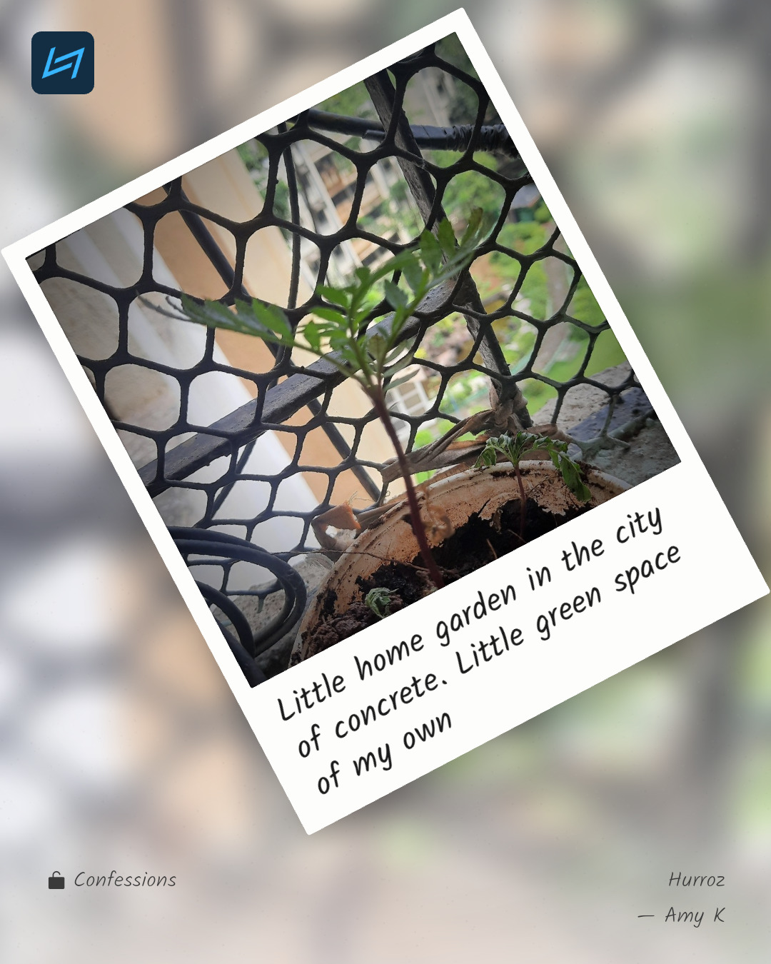 Little home garden in the city of concrete. Little green space of my own