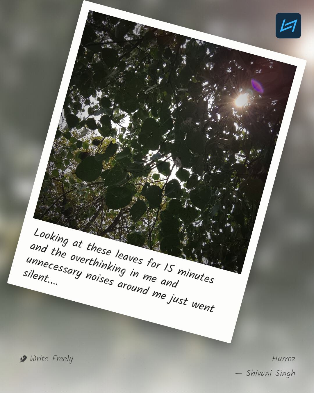 Looking at these leaves for 15 minutes and the overthinking in me and unnecessary noises around me just went silent....