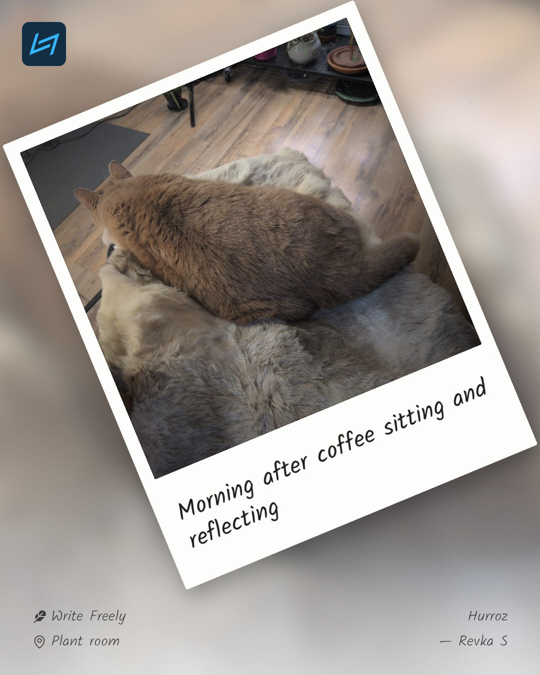 Morning after coffee sitting and reflecting