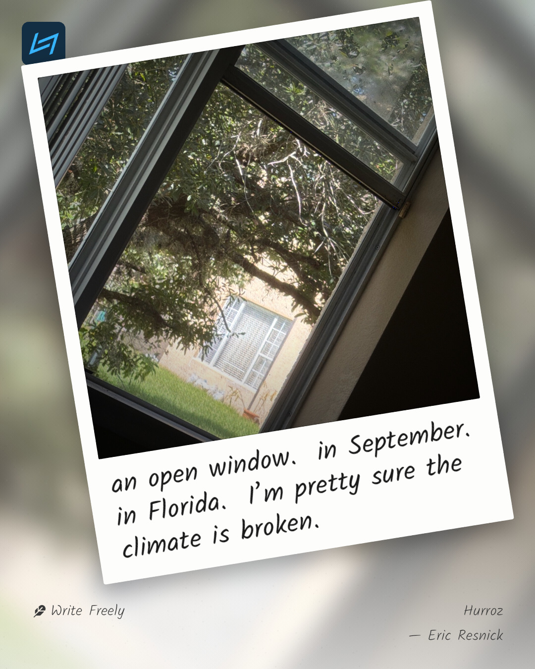 an open window. in September. in Florida. I’m pretty sure the climate is broken.