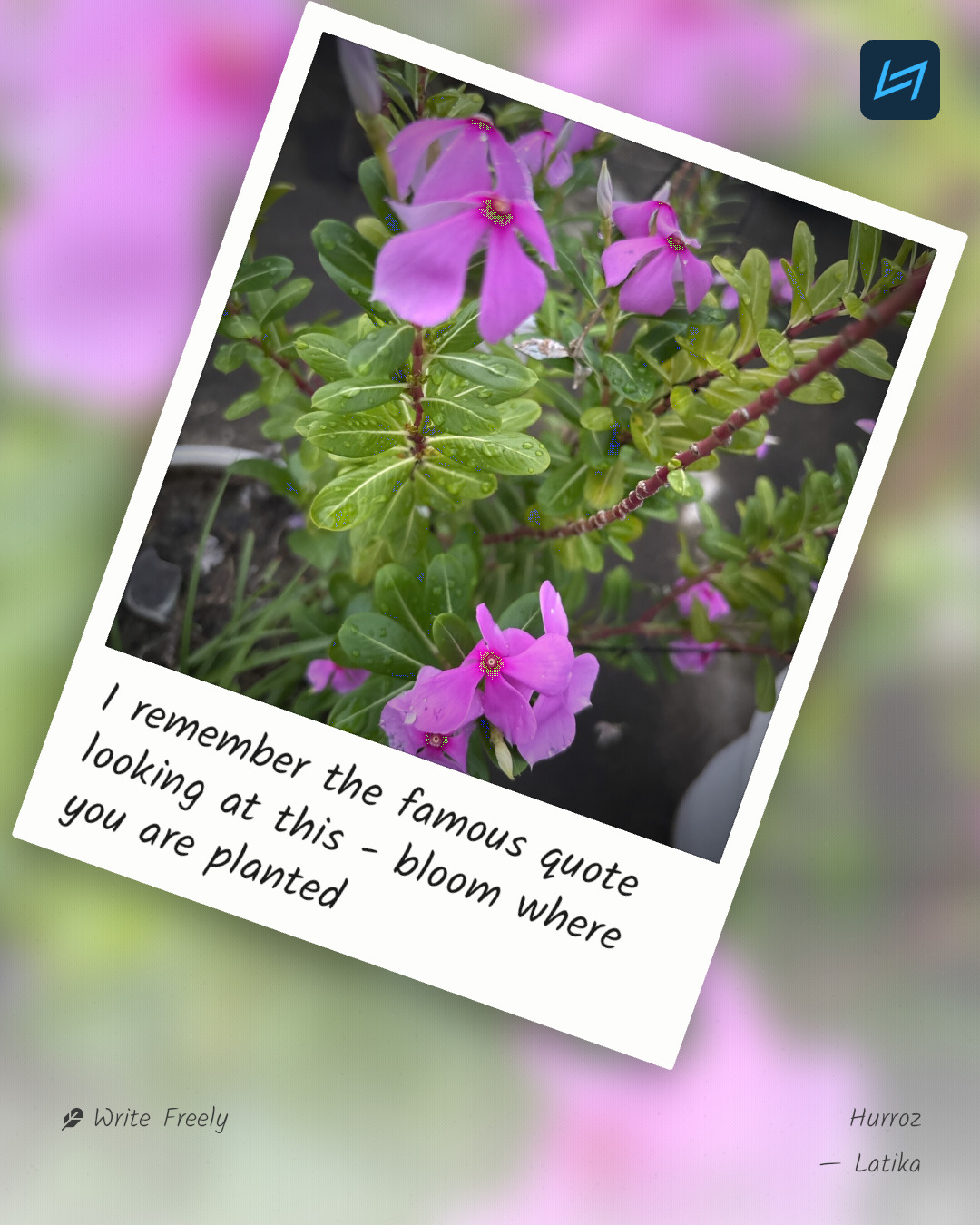 I remember the famous quote looking at this - bloom where you are planted