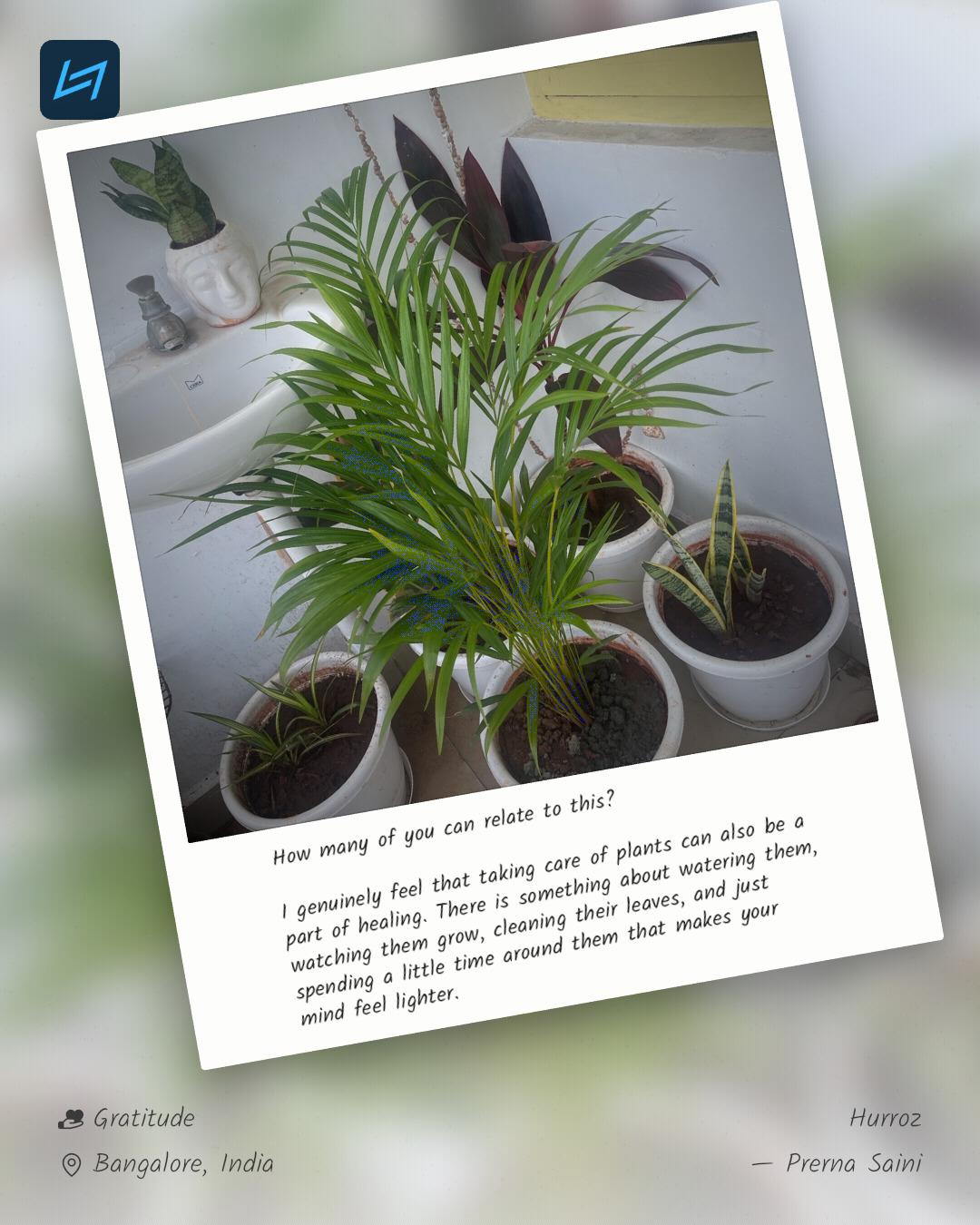 How many of you can relate to this? I genuinely feel that taking care of plants can also be a part of healing. There is something about watering them, watching them grow, cleaning their leaves, and just spending a little time around them that makes your mind feel lighter.