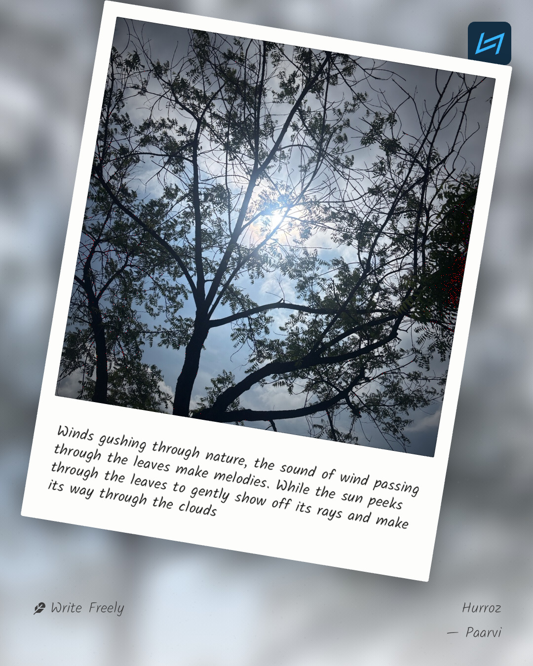 Winds gushing through nature, the sound of wind passing through the leaves make melodies. While the sun peeks through the leaves to gently show off its rays and make its way through the clouds