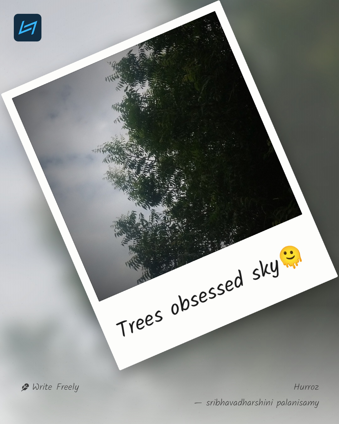 Trees obsessed sky🫠