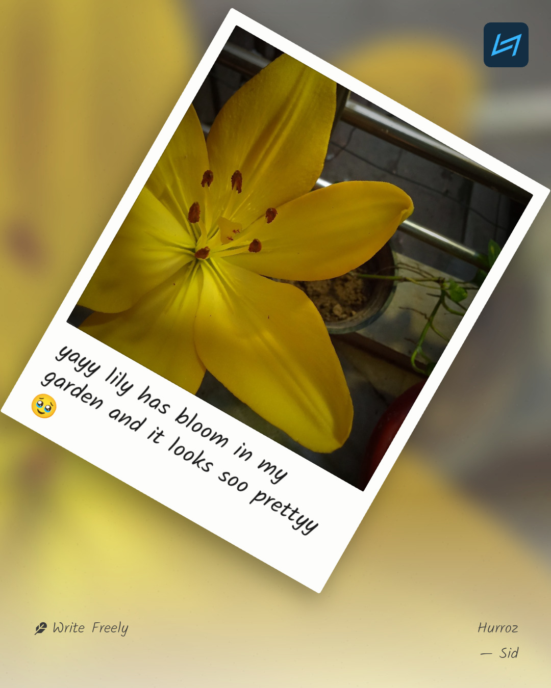 yayy lily has bloom in my garden and it looks soo prettyy🥹