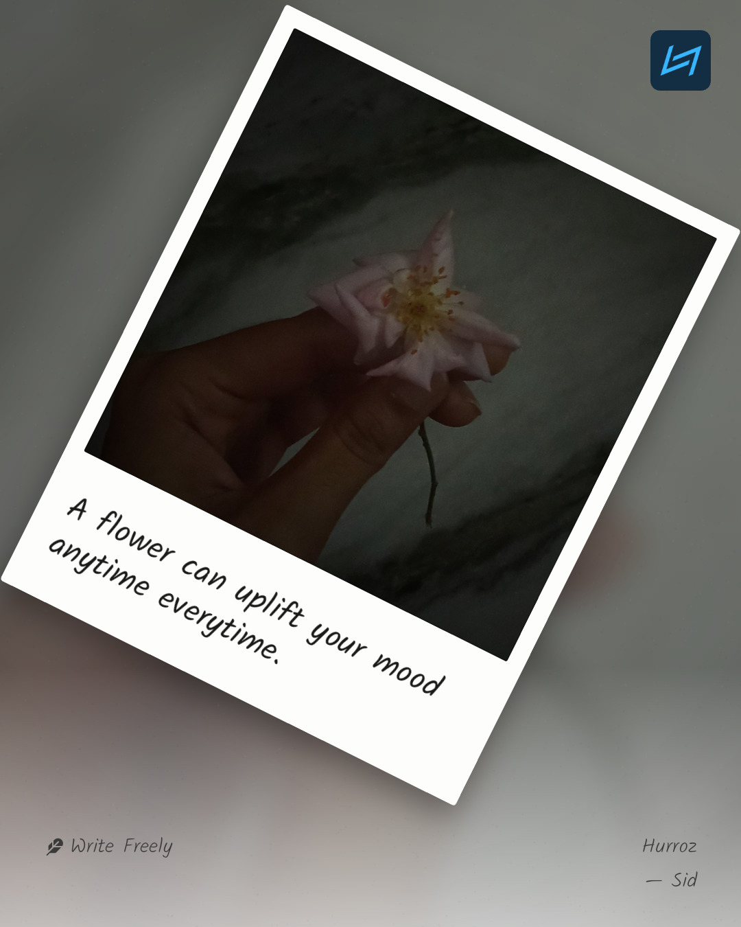A flower can uplift your mood anytime everytime.