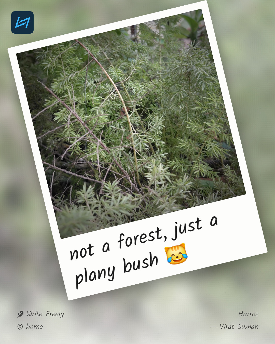 not a forest, just a plany bush 😹