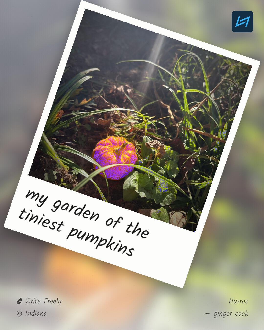 my garden of the tiniest pumpkins