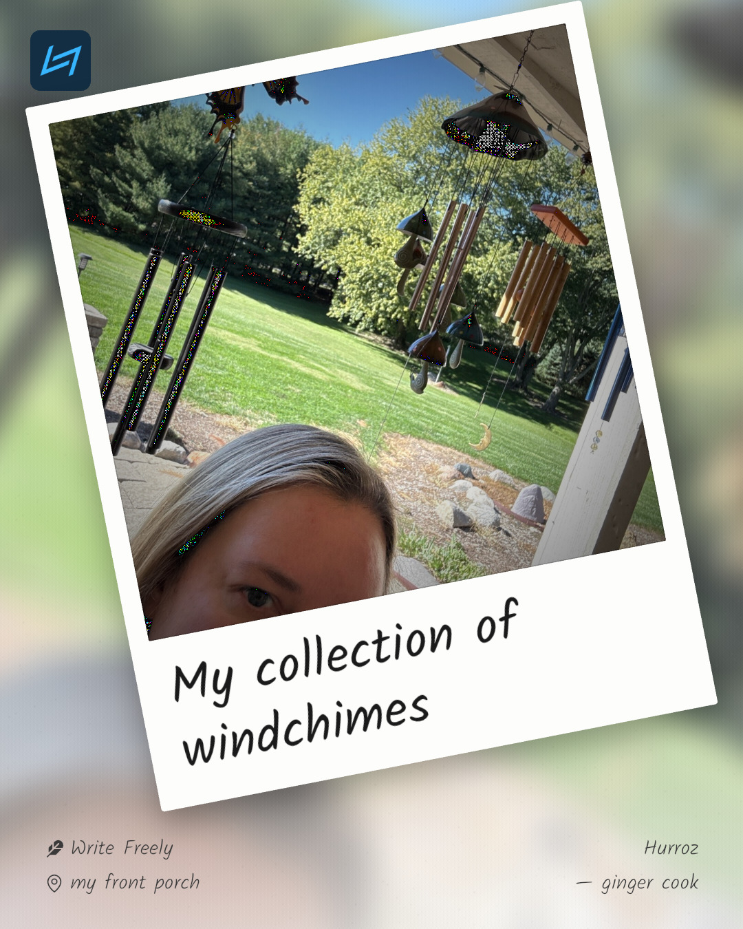 My collection of windchimes