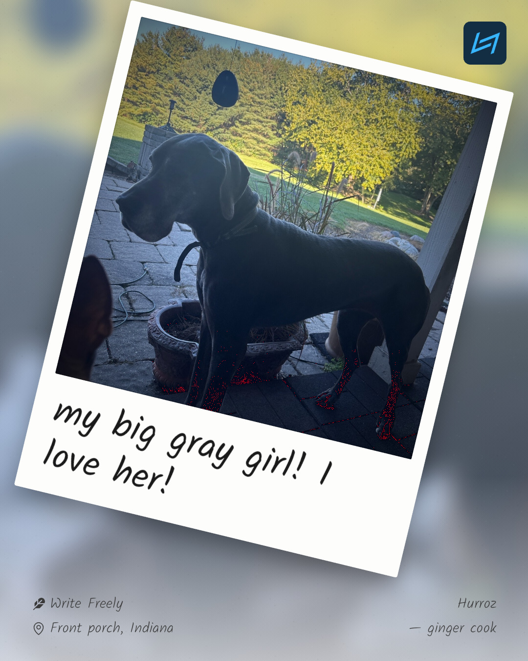 my big gray girl! I love her!