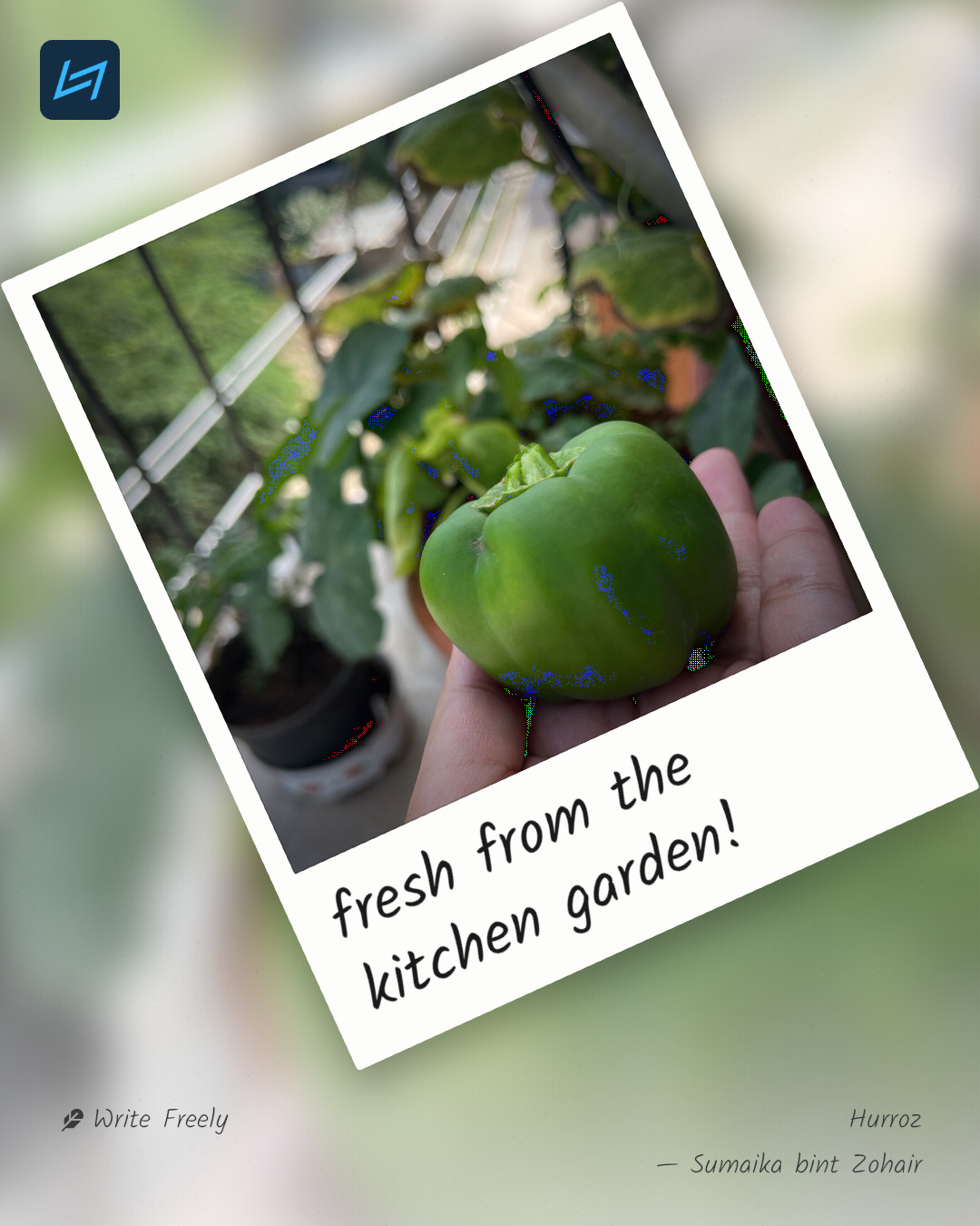 fresh from the kitchen garden!