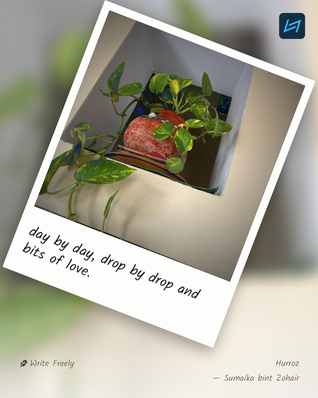 day by day, drop by drop and bits of love.