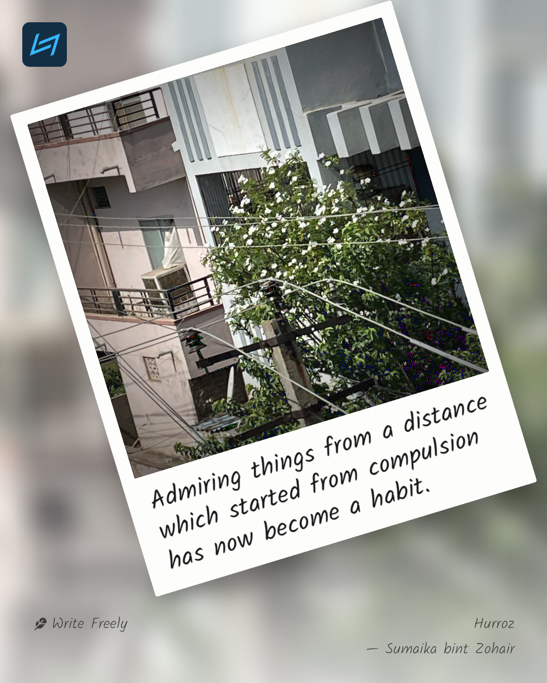 Admiring things from a distance which started from compulsion has now become a habit.