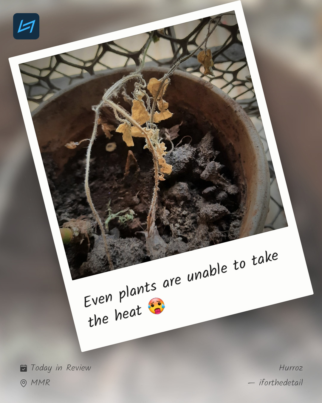 Even plants are unable to take the heat 🥵