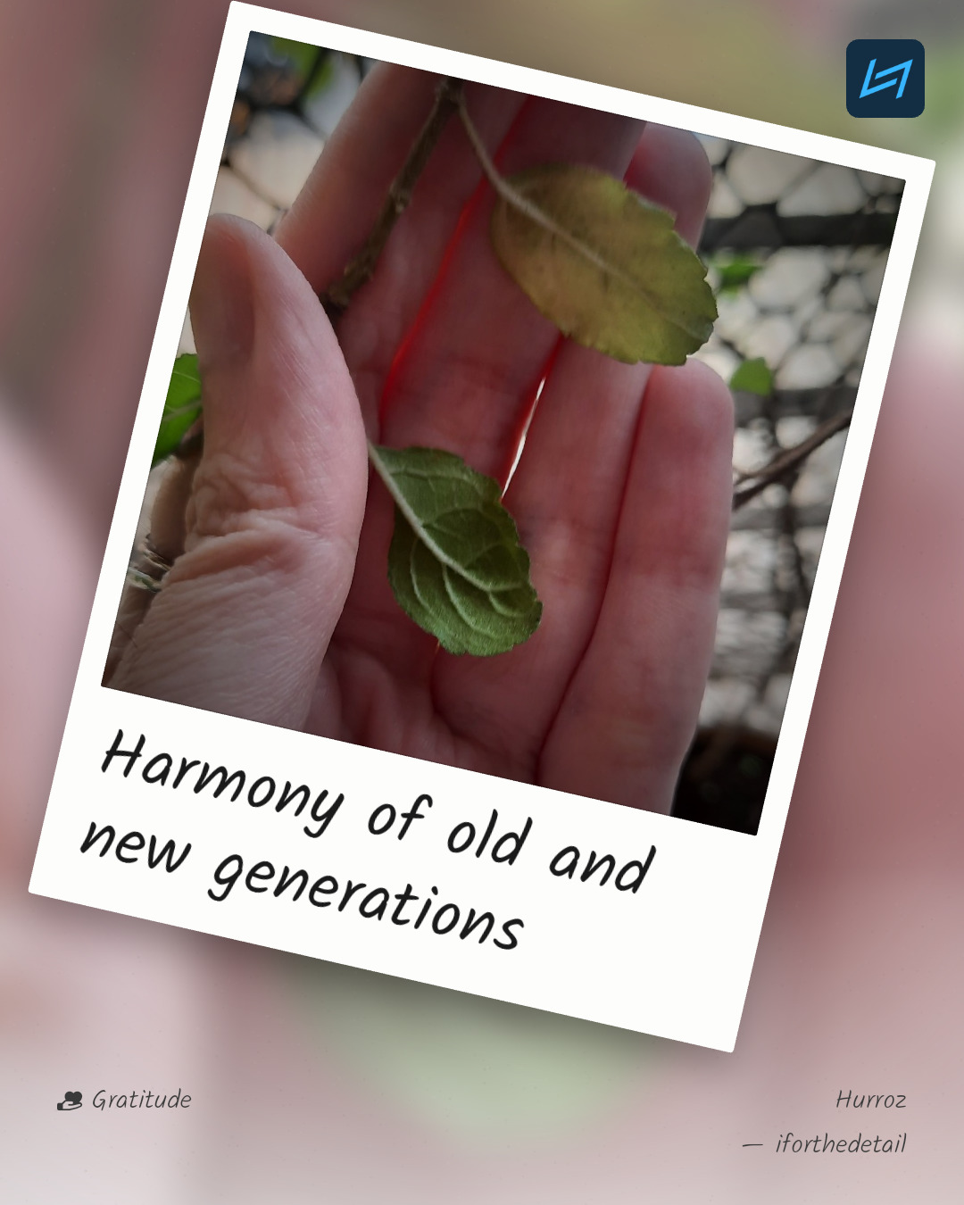 Harmony of old and new generations