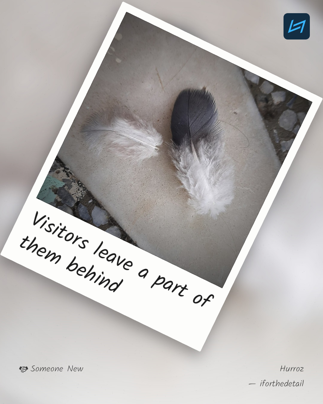 Visitors leave a part of them behind