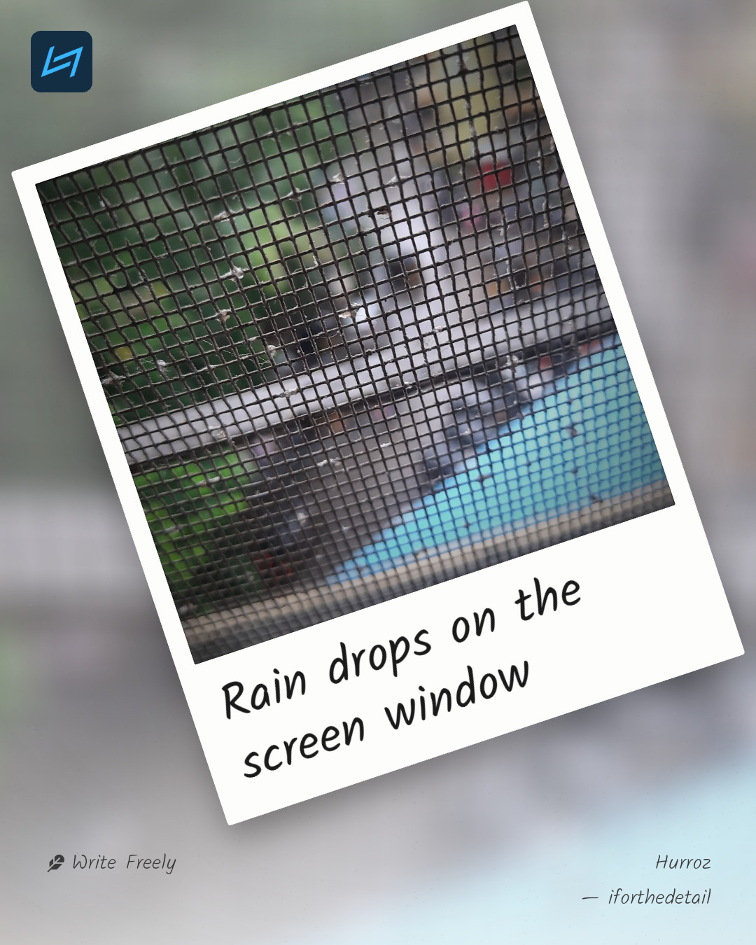 Rain drops on the screen window