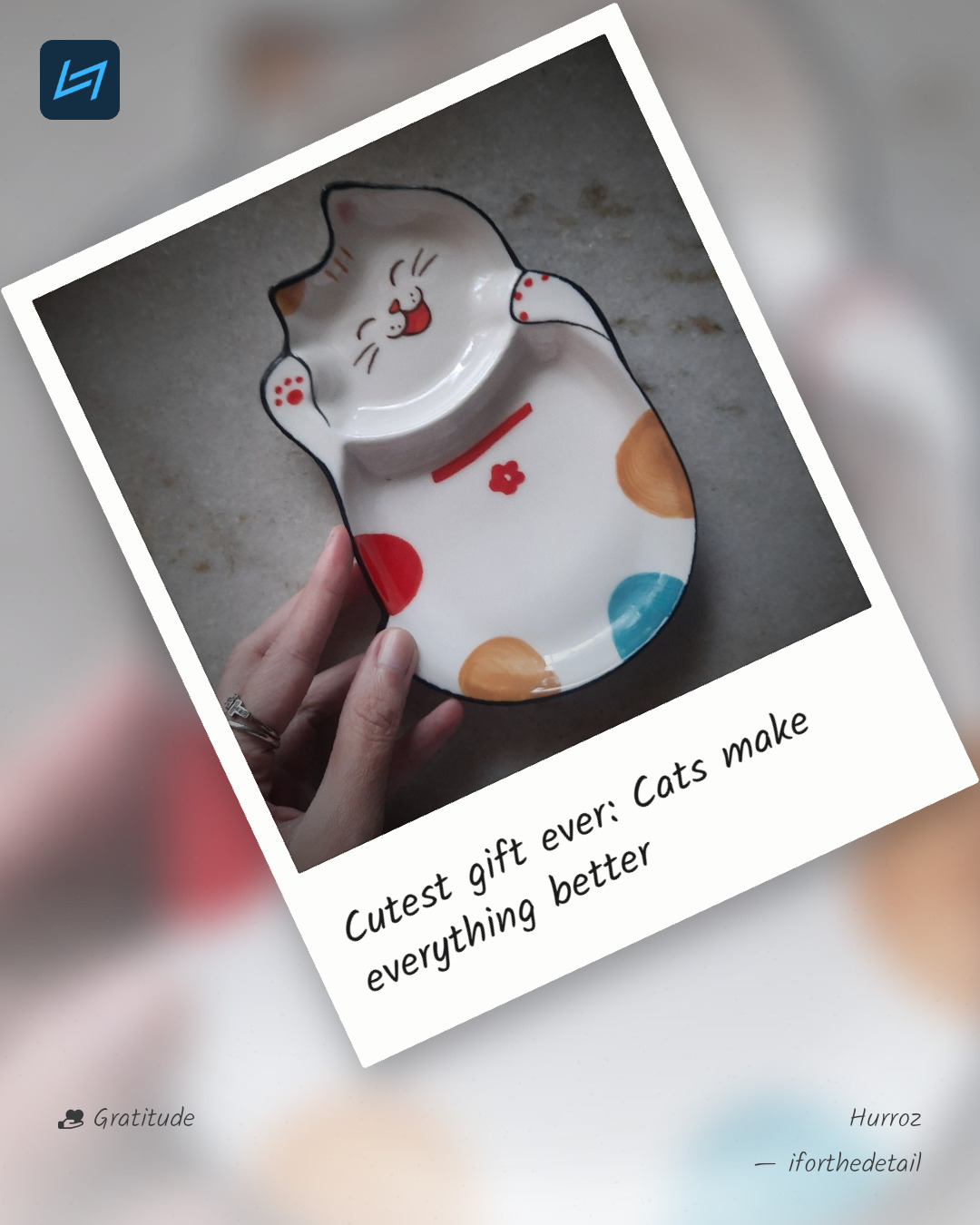 Cutest gift ever: Cats make everything better