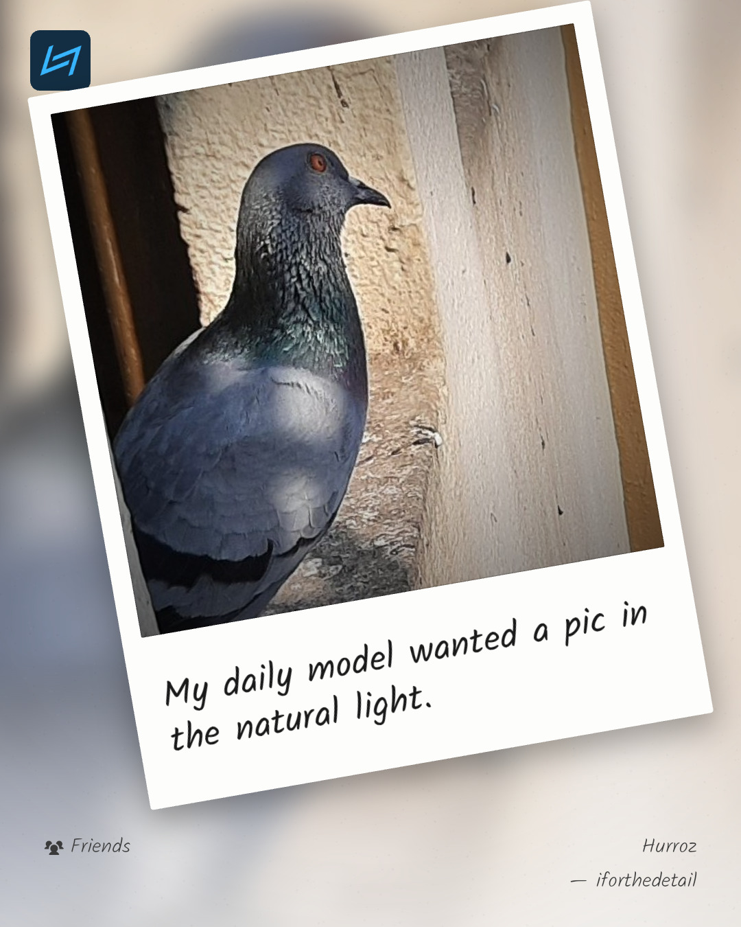 My daily model wanted a pic in the natural light.