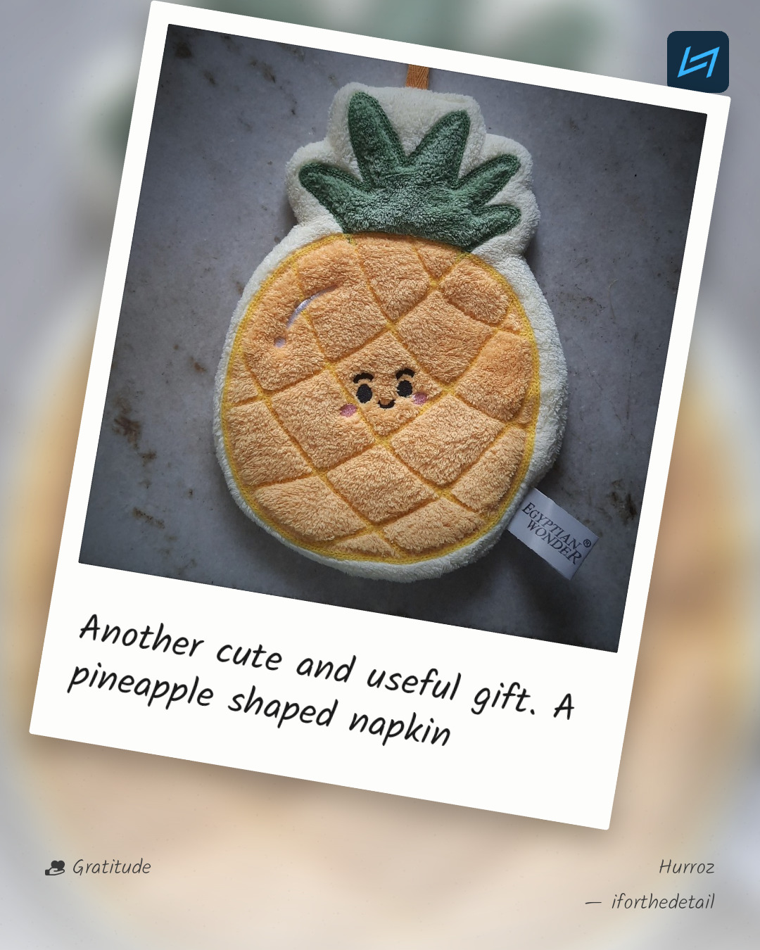 Another cute and useful gift. A pineapple shaped napkin