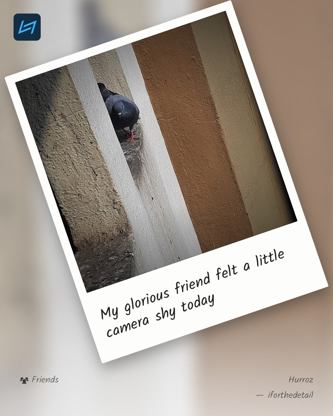 My glorious friend felt a little camera shy today