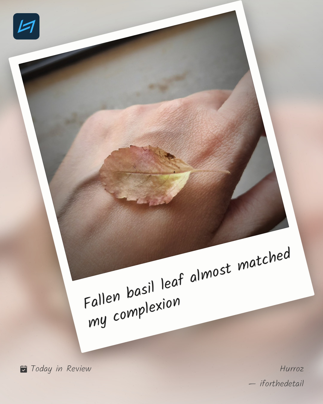Fallen basil leaf almost matched my complexion