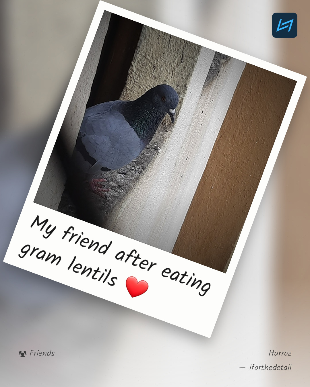 My friend after eating gram lentils ❤️