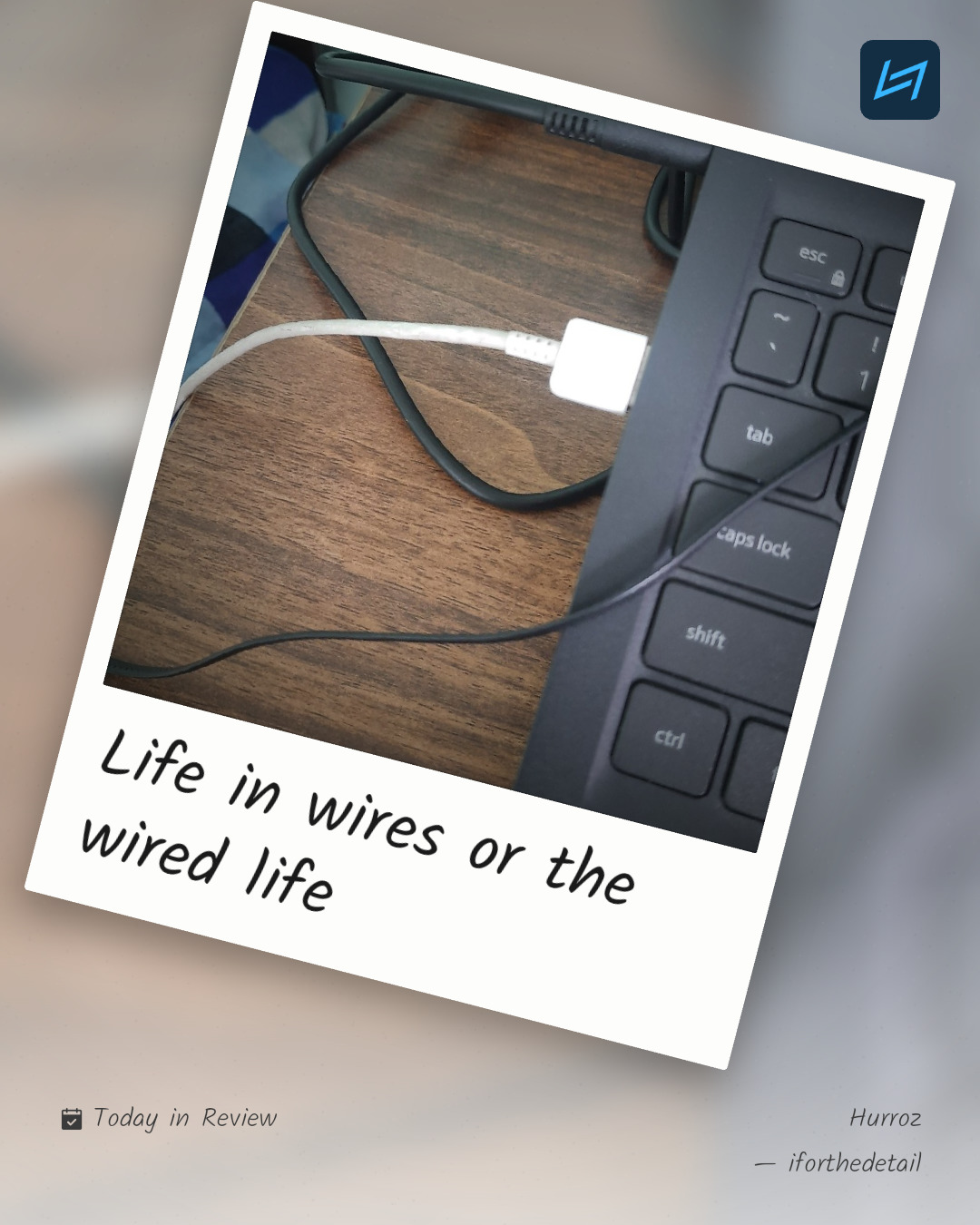 Life in wires or the wired life