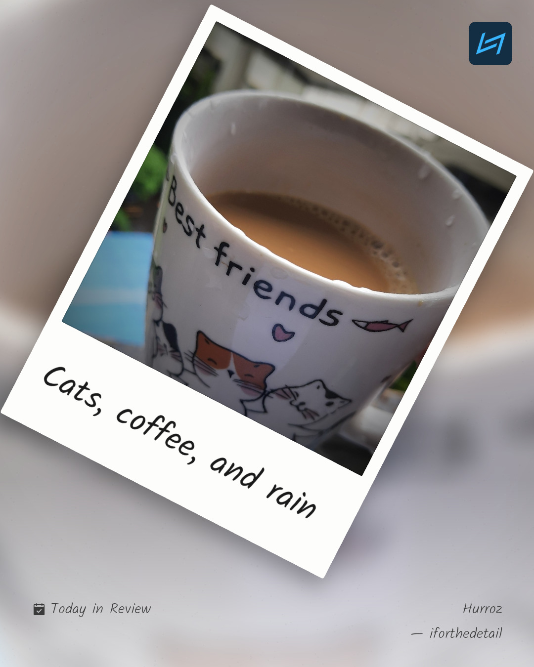 Cats, coffee, and rain