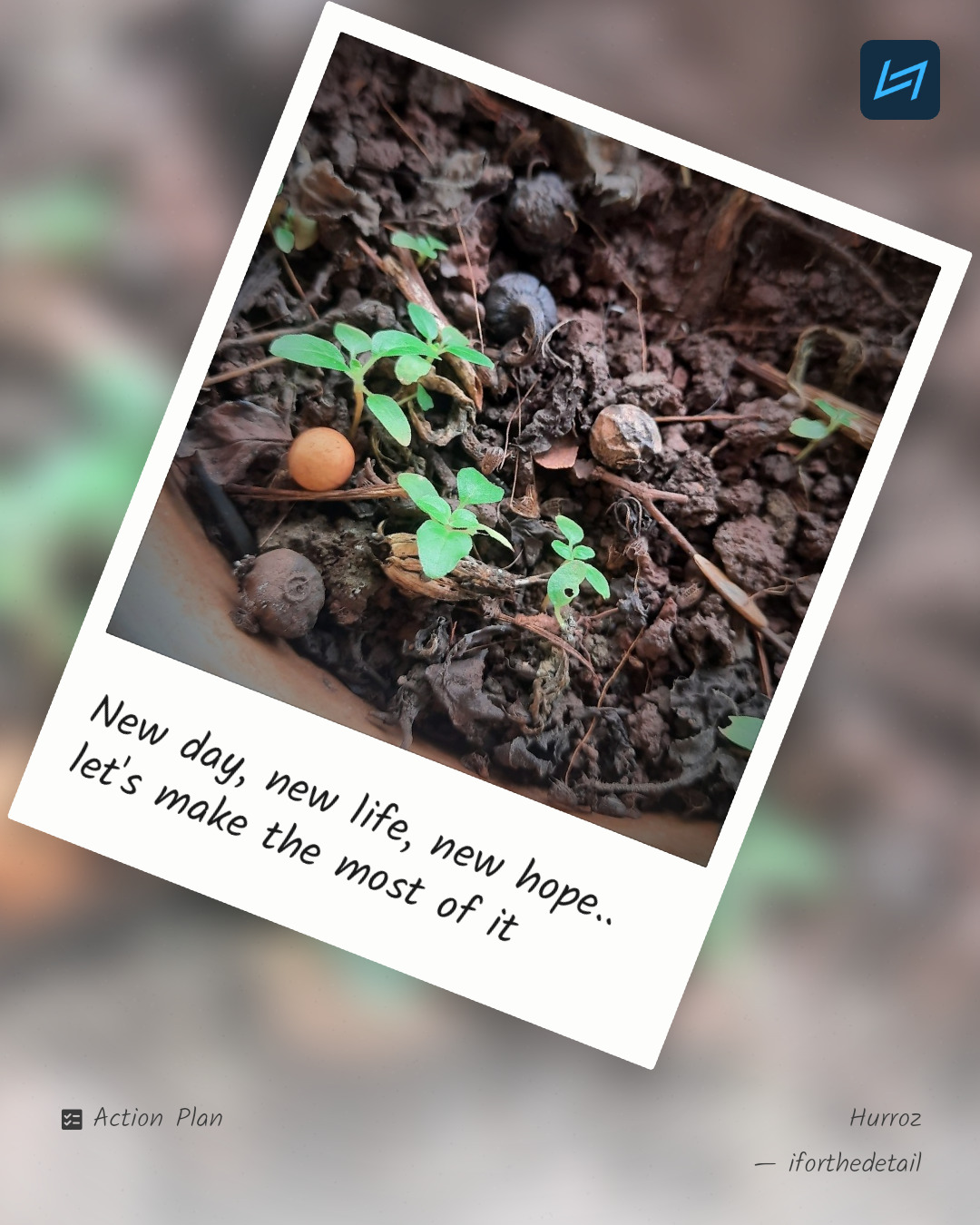 New day, new life, new hope.. let's make the most of it
