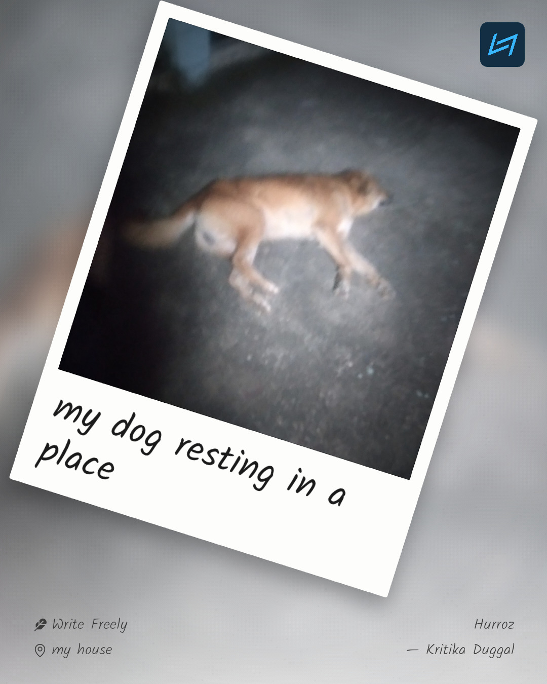 my dog resting in a place