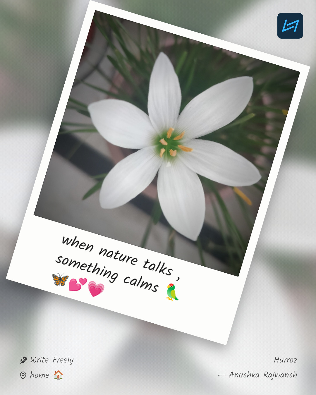 when nature talks , something calms 🦜🦋💕💗