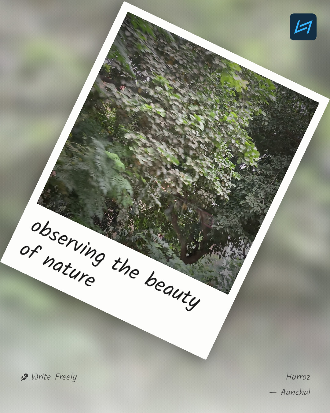 observing the beauty of nature