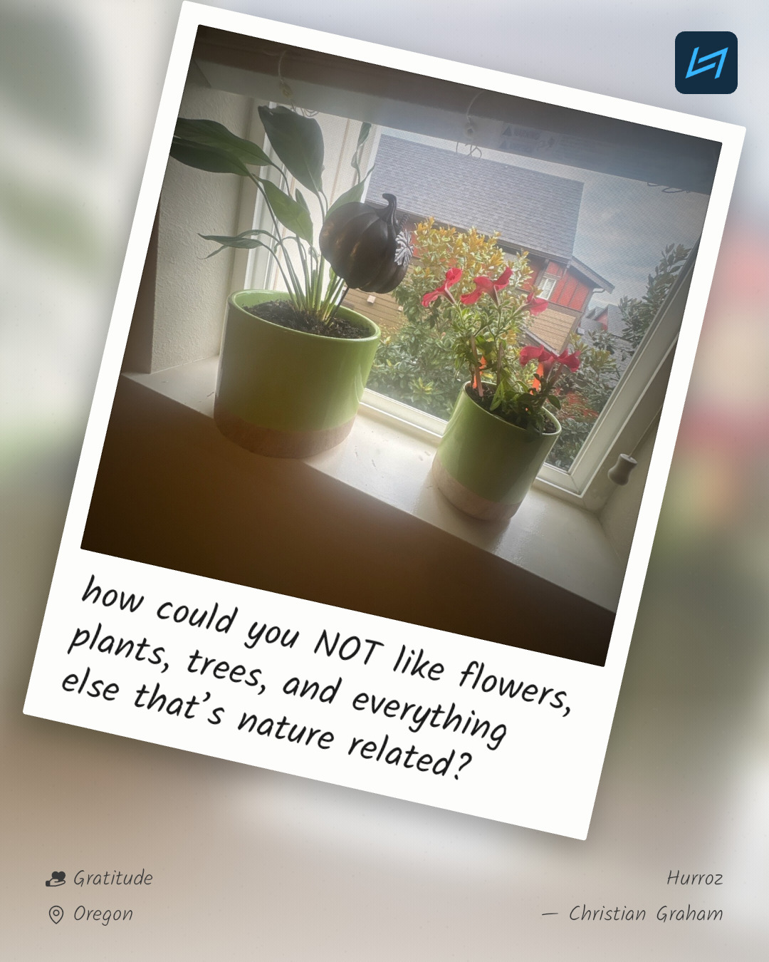 how could you NOT like flowers, plants, trees, and everything else that’s nature related?