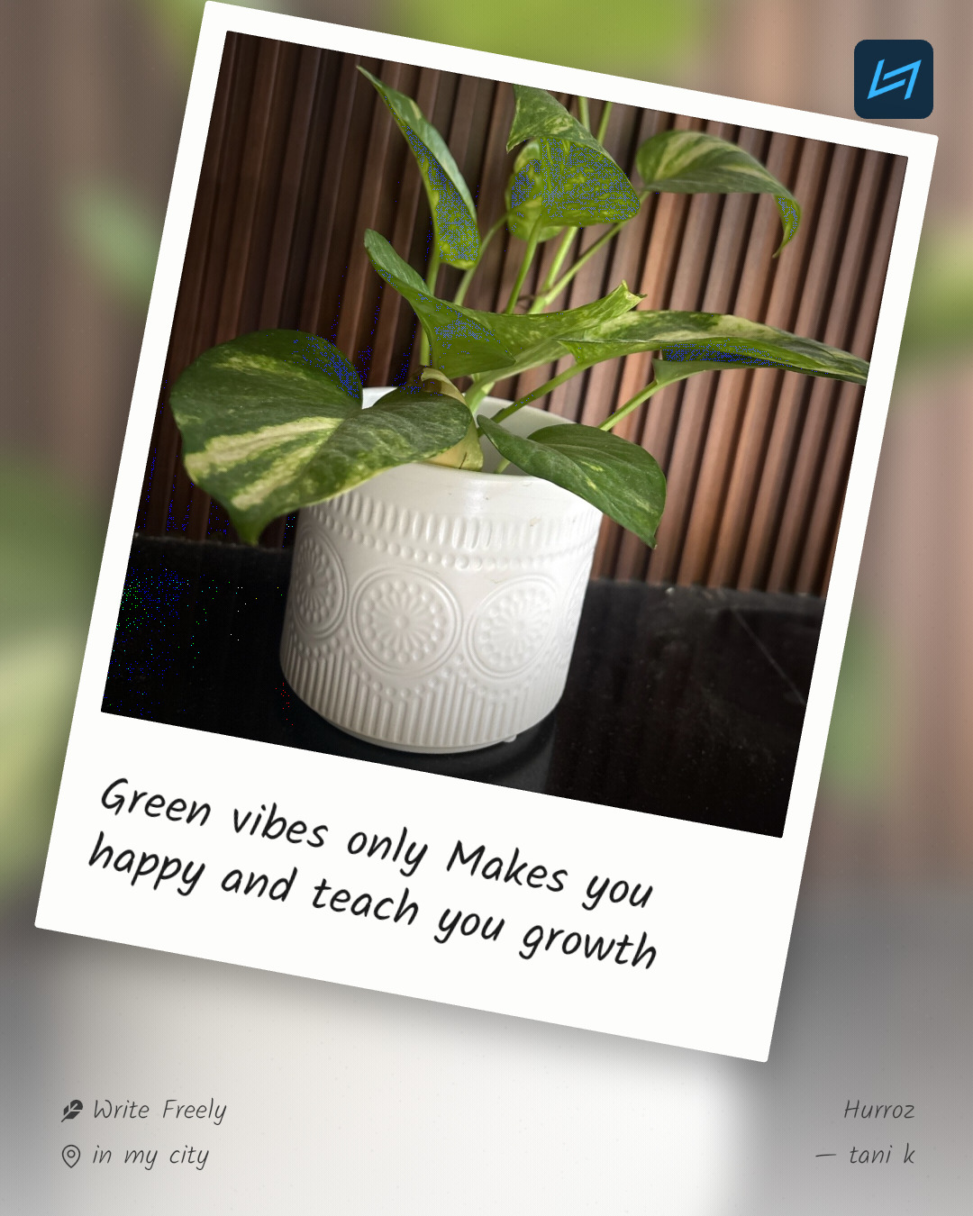 Green vibes only Makes you happy and teach you growth