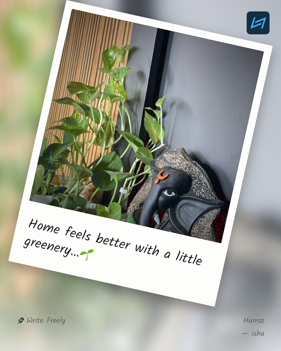 Home feels better with a little greenery…🌱