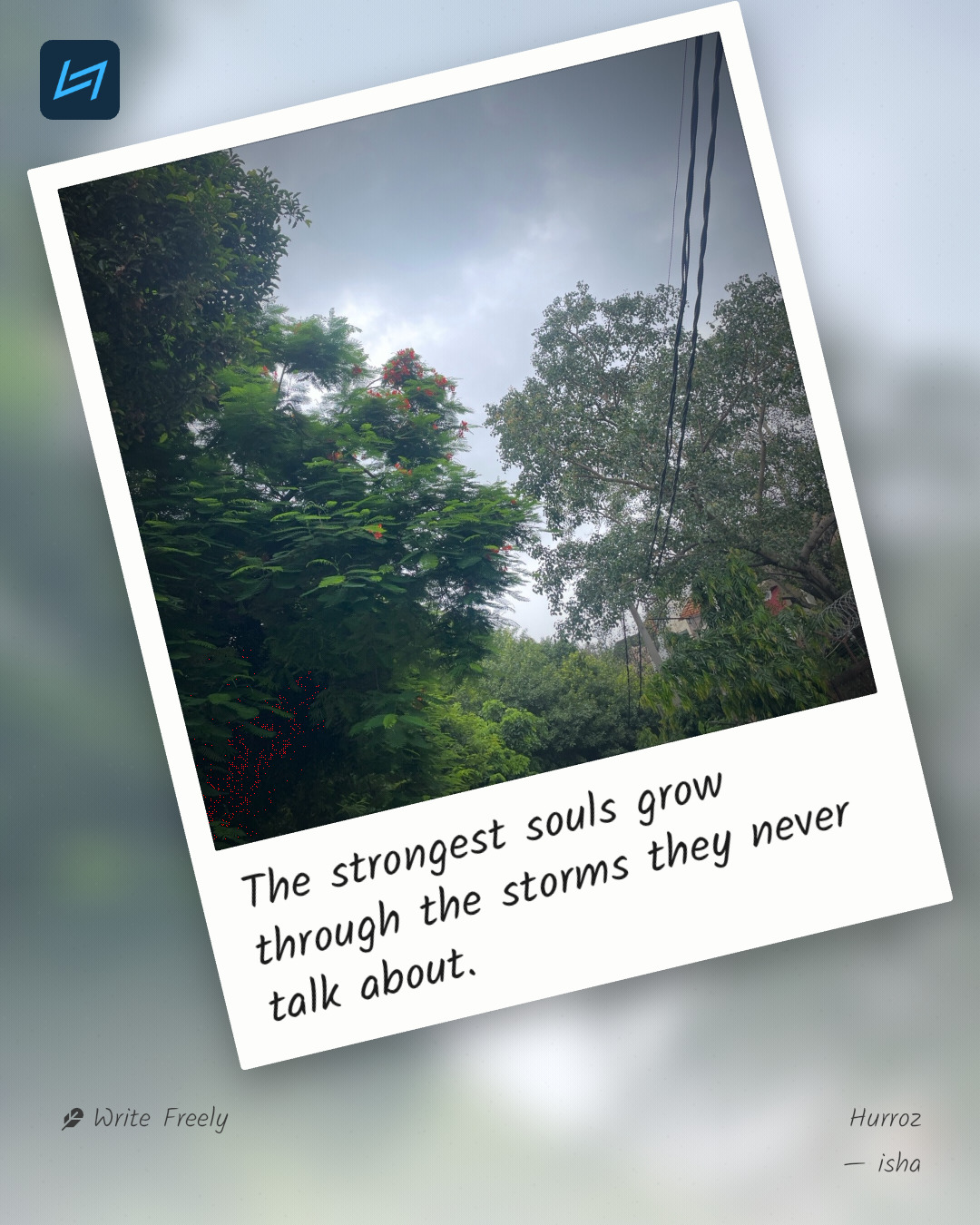 The strongest souls grow through the storms they never talk about.