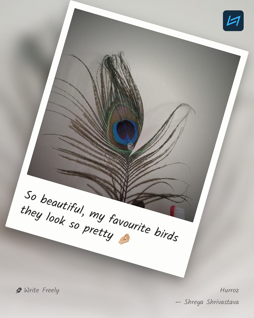 So beautiful, my favourite birds they look so pretty 🤌🏼
