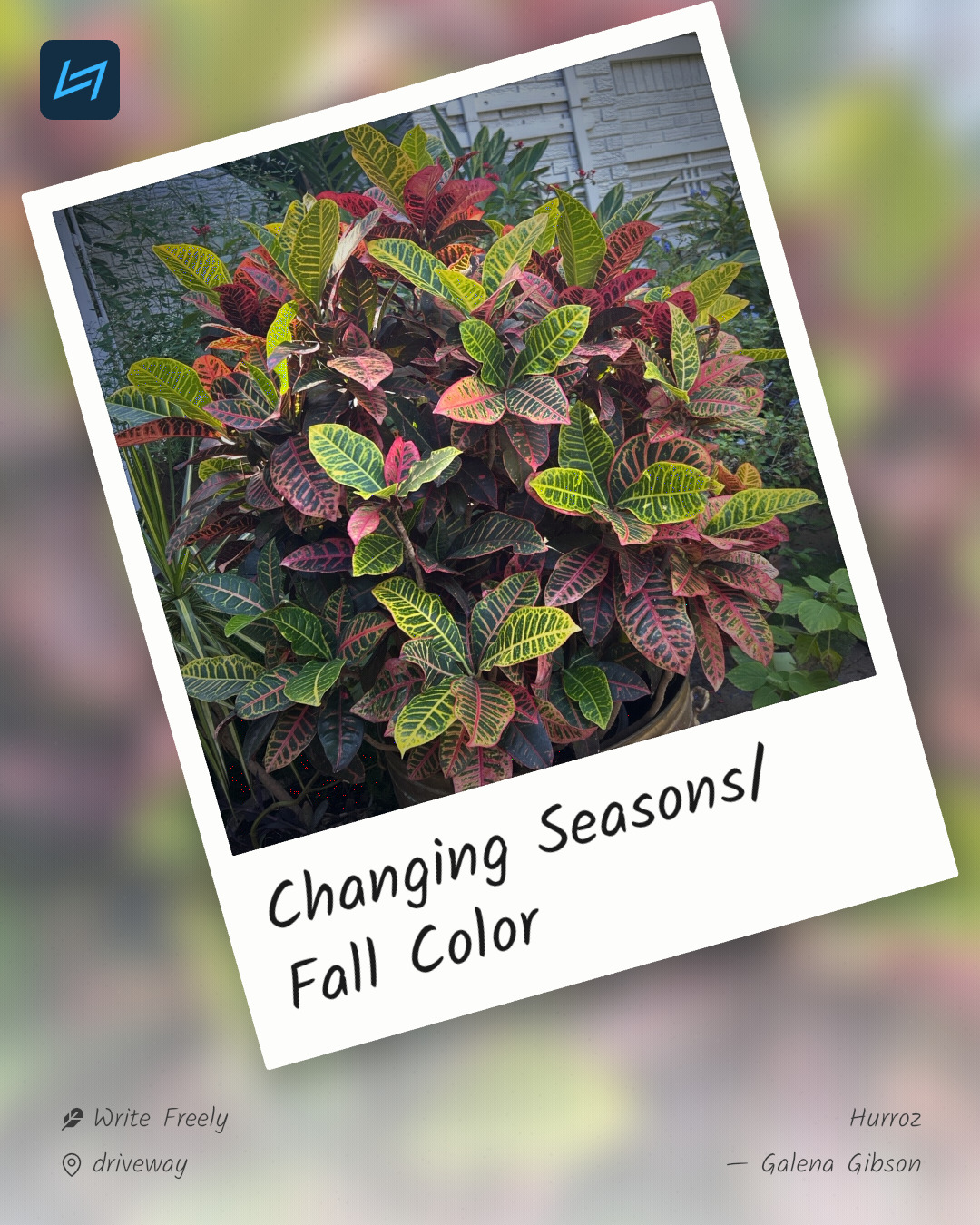 Changing Seasons/ Fall Color